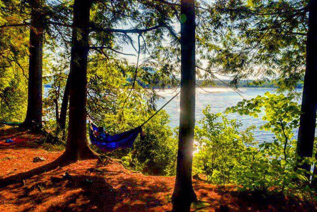 Some down time in a hammock